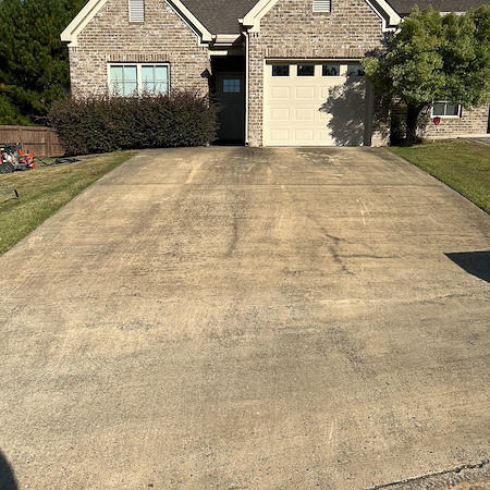 The Dangers of Letting Mold and Mildew Build Up on Exterior Surfaces