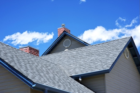 What Are Those Ugly Black Streaks on Your Roof Doing to Your Roof?